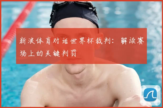 新浪体育对话世界杯裁判:解读赛场上的关键判罚