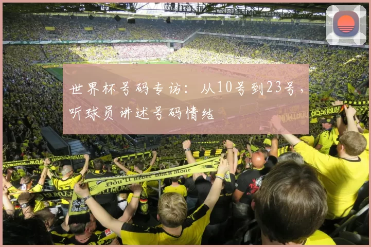 世界杯号码专访：从10号到23号，听球员讲述号码情结