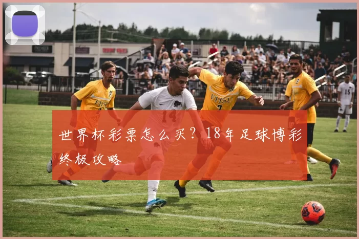 世界杯彩票怎么买？18年足球博彩终极攻略
