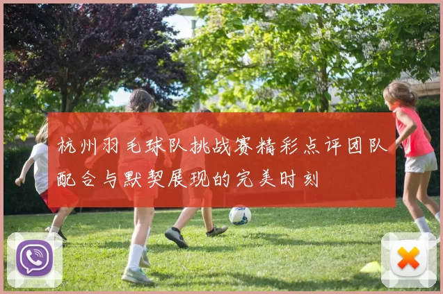 杭州羽毛球队挑战赛精彩点评团队配合与默契展现的完美时刻