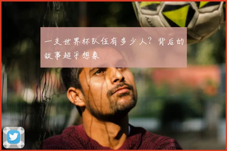 一支世界杯队伍有多少人？背后的故事超乎想象