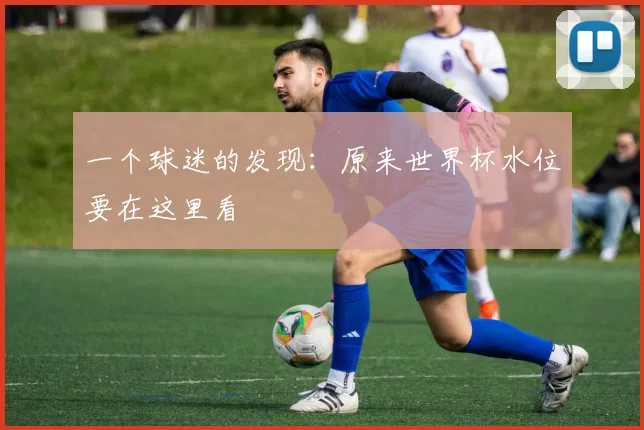 一个球迷的发现：原来世界杯水位要在这里看