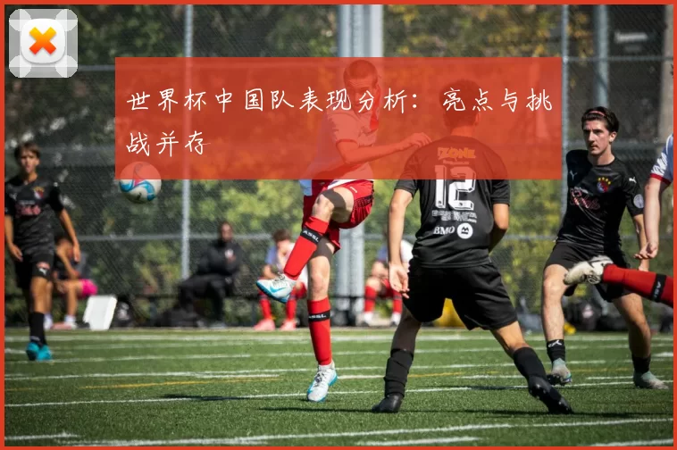 世界杯中国队表现分析:亮点与挑战并存