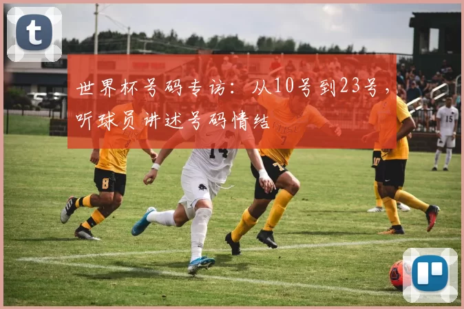 世界杯号码专访：从10号到23号，听球员讲述号码情结