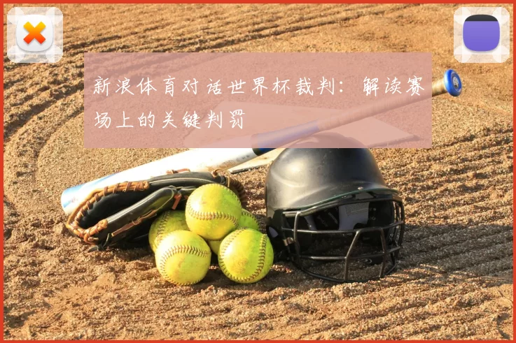 新浪体育对话世界杯裁判：解读赛场上的关键判罚