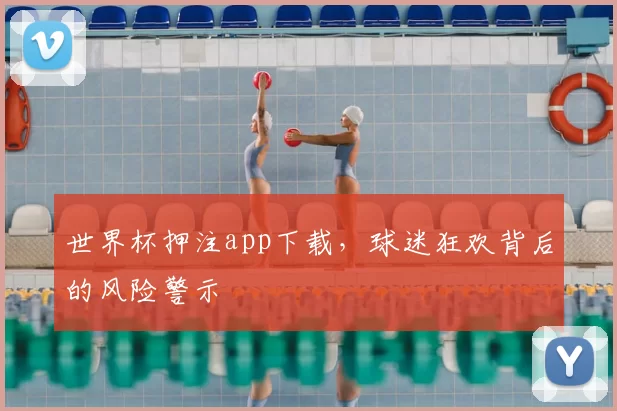 世界杯押注app下载，球迷狂欢背后的风险警示