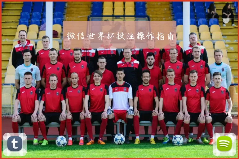 微信世界杯投注操作指南