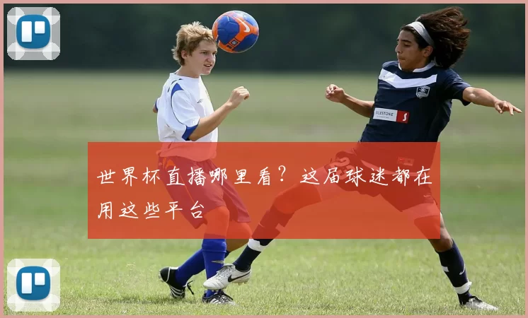 世界杯直播哪里看？这届球迷都在用这些平台