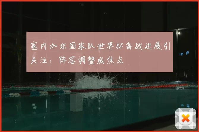 塞内加尔国家队世界杯备战进展引关注，阵容调整成焦点