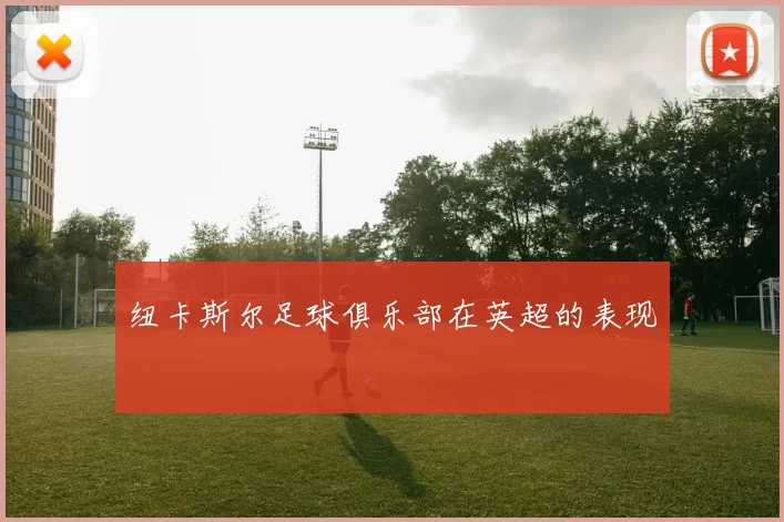 纽卡斯尔足球俱乐部在英超的表现