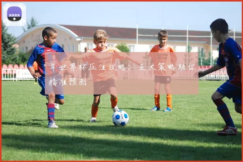 年世界杯压注攻略：五大策略助你精准预测