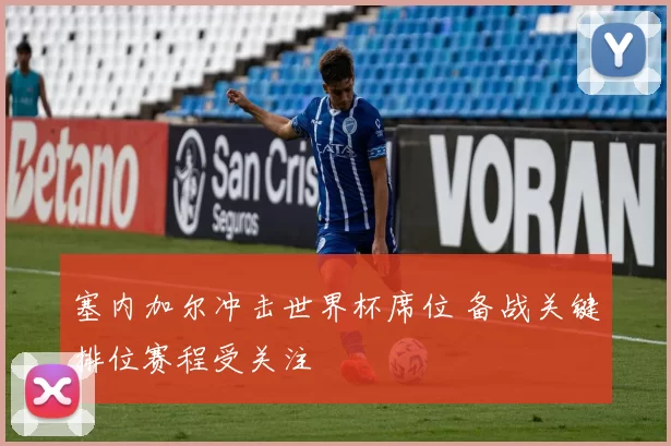 塞内加尔冲击世界杯席位 备战关键排位赛程受关注