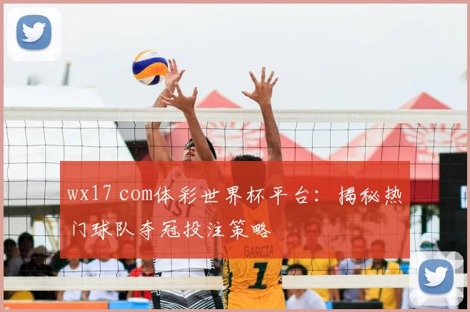 wx17 com体彩世界杯平台：揭秘热门球队夺冠投注策略