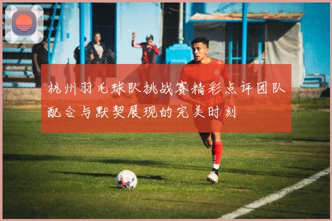 杭州羽毛球队挑战赛精彩点评团队配合与默契展现的完美时刻