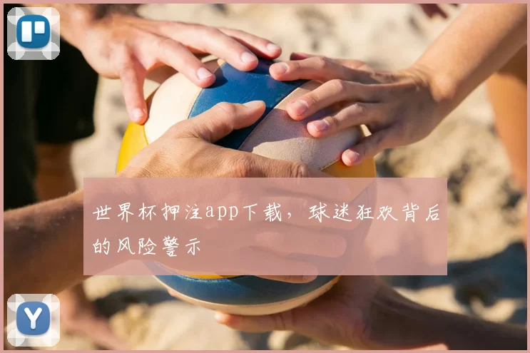 世界杯押注app下载，球迷狂欢背后的风险警示